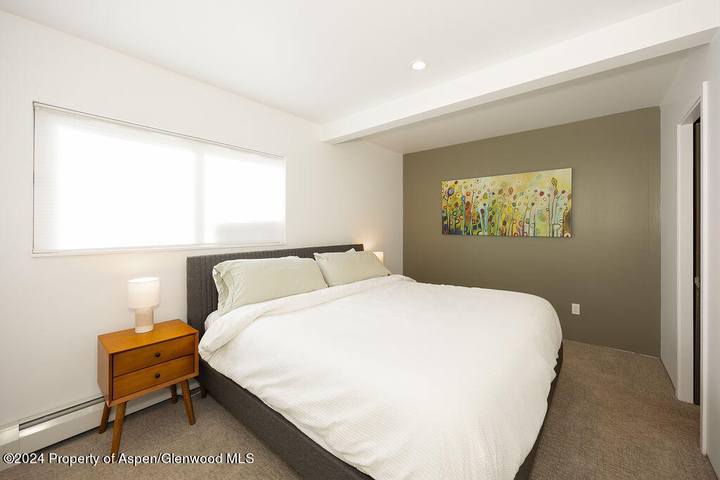 200 East Homestead Drive Basalt, CO 81621 - Photo 19 of 23 Apartment Bedroom 1