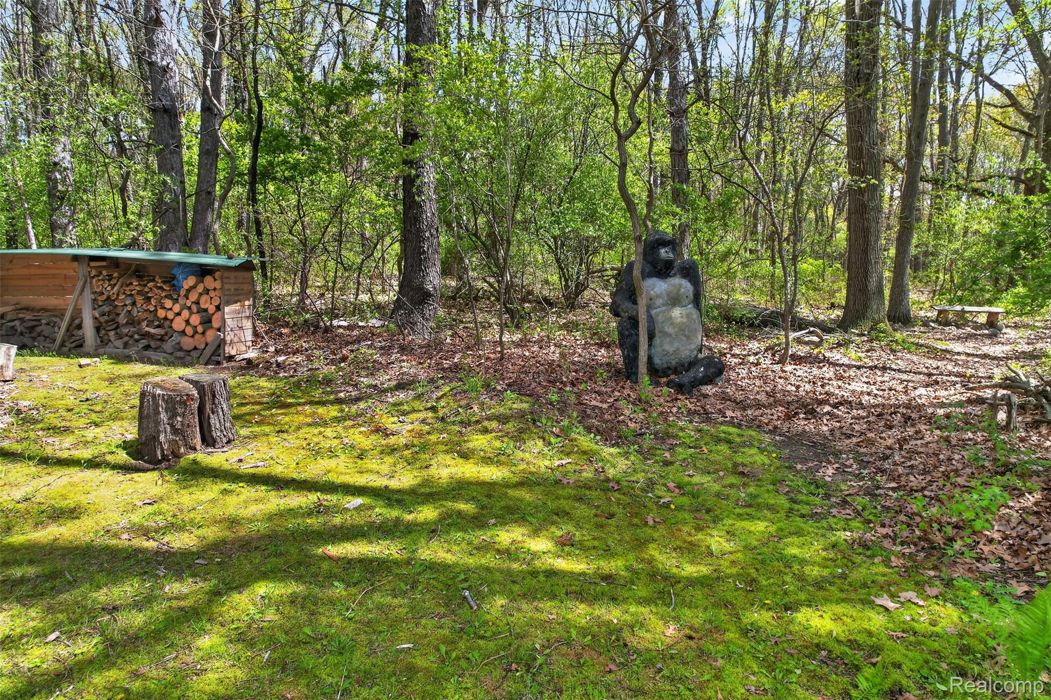 2997 Brighton Road Howell, MI 48843 - Photo 28 of 30 View of green lawn