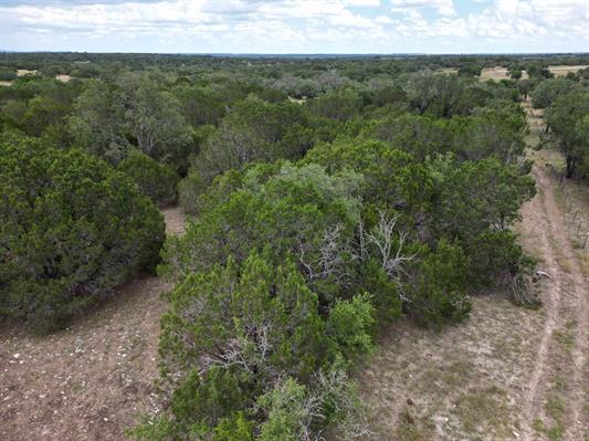 33 Miller Creek Ranch Road Kempner, TX 76539 - Photo 8 of 8