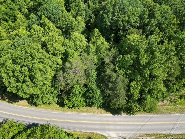 0 Doe Run Road Rocky Mount, VA 24151 - Photo 1 of 4 a view of a yard from a window
