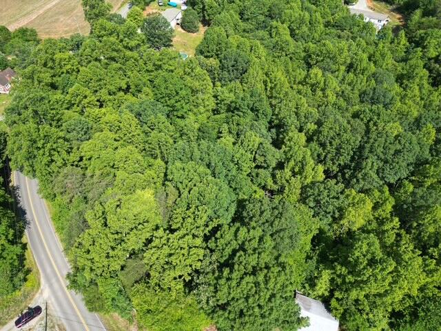 0 Doe Run Road Rocky Mount, VA 24151 - Photo 3 of 4 a view of a lush green forest