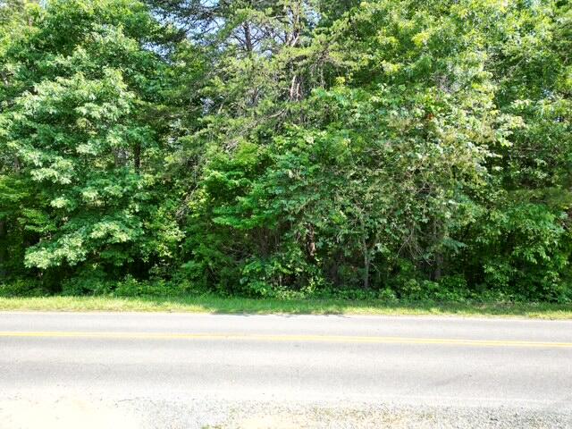 0 Doe Run Road Rocky Mount, VA 24151 - Photo 4 of 4 a small yard with a outdoor space