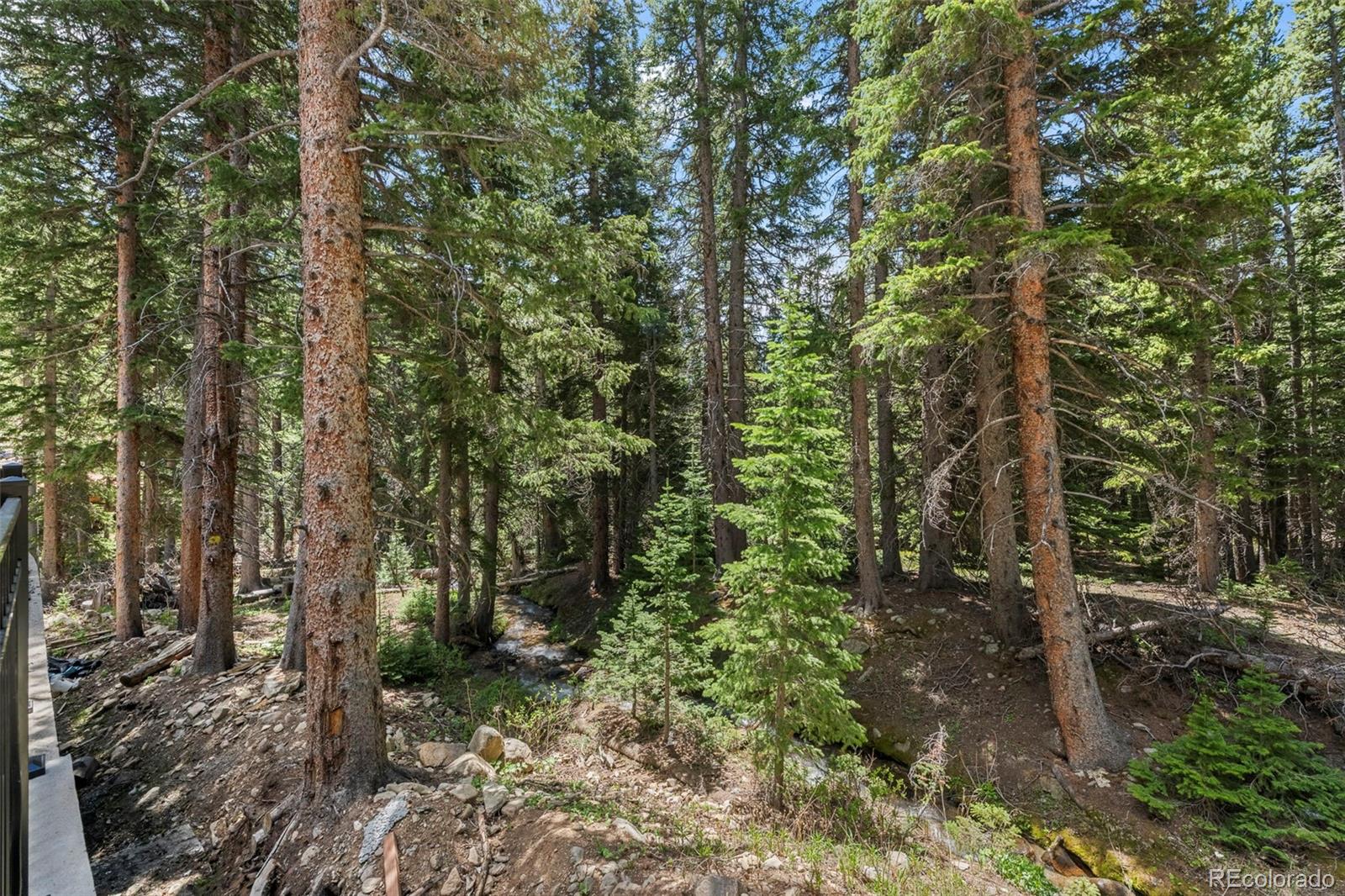 46 Silver Creek Road Idaho Springs, CO 80452 - Photo 29 of 41
