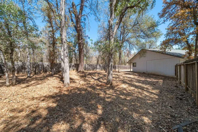 a view of backyard space