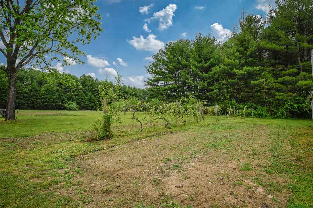 860 Fort Valley Road Fort Valley, VA 22652 - Photo 12 of 31 a view of a field with trees