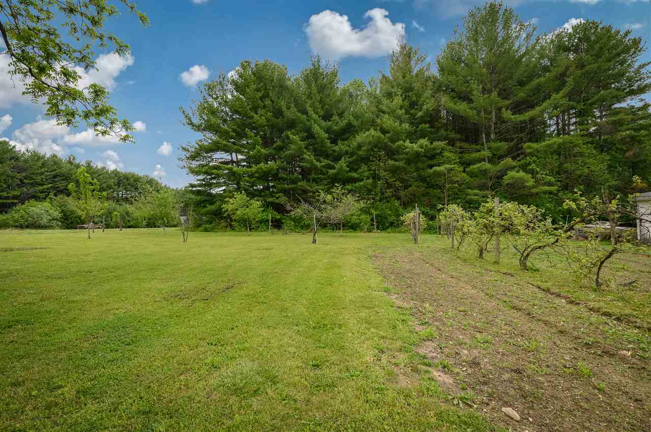 860 Fort Valley Road Fort Valley, VA 22652 - Photo 13 of 31 a view of a golf course with a tree