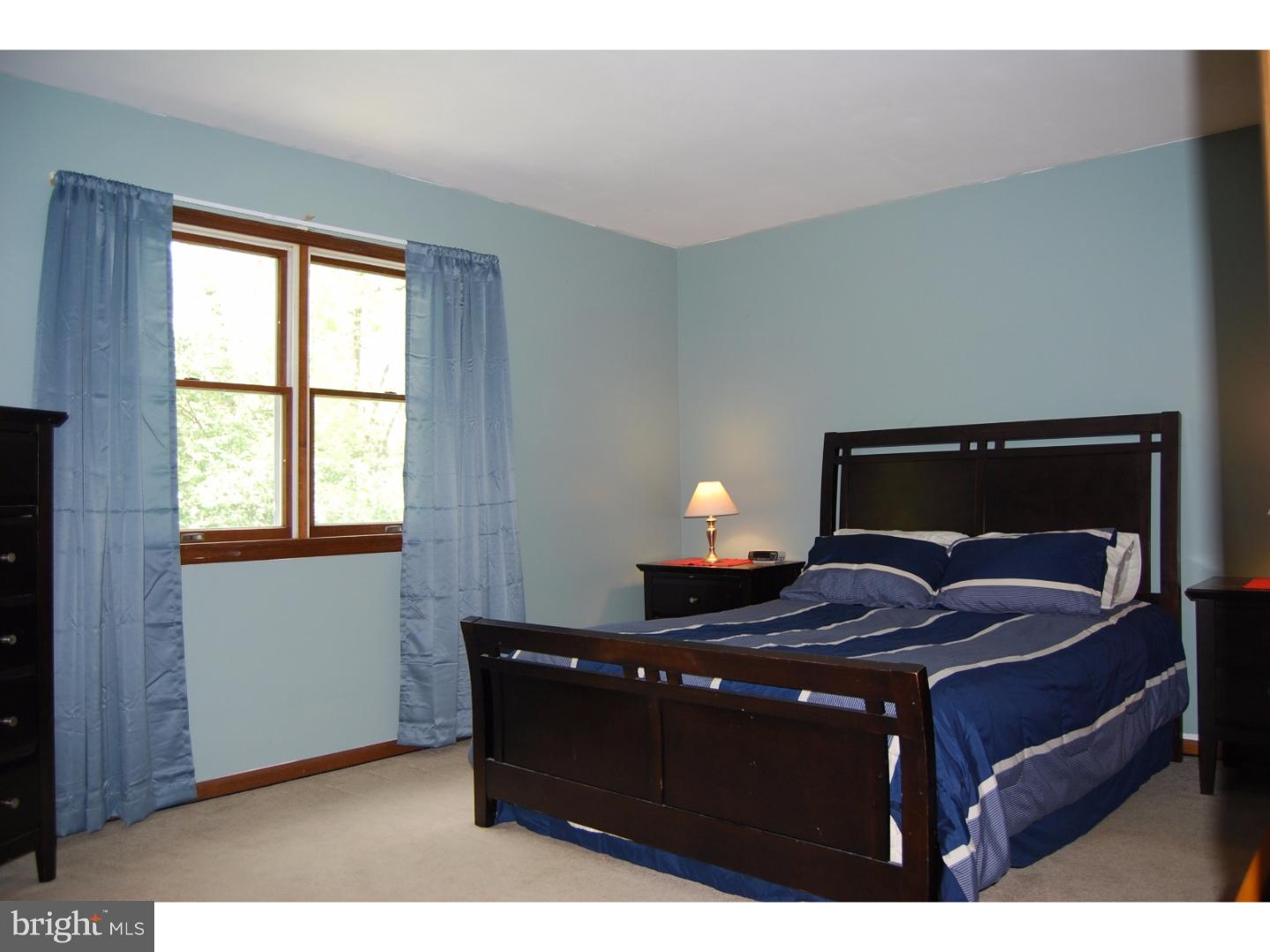 161 Sage Drive Sinking Spring, PA 19608 - Photo 16 of 23 Master Bedroom