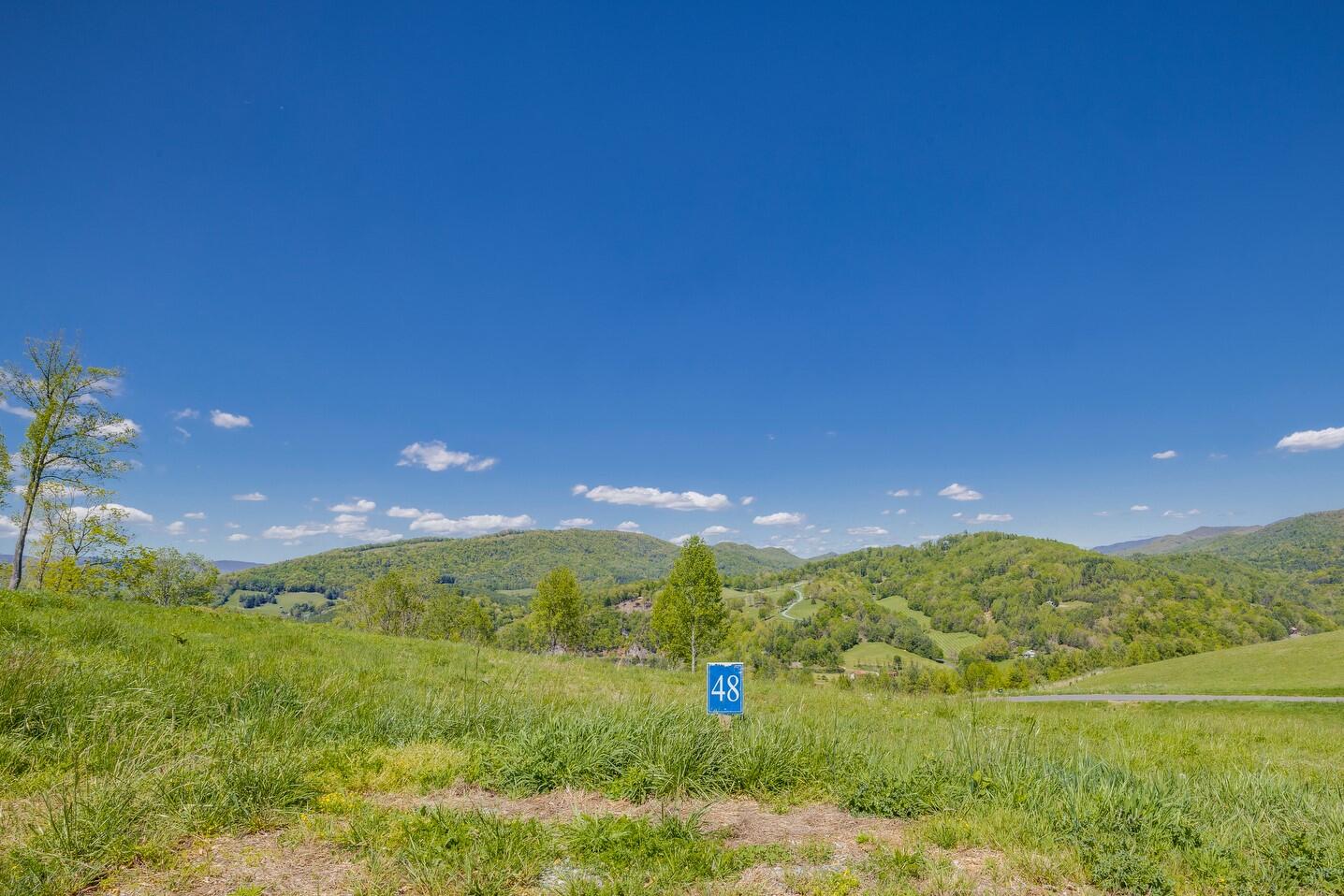1298 Eagle Ridge Parkway, Unit 48 Butler, TN 37640 - Photo 6 of 16 001