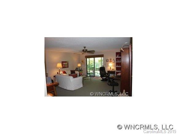 77 Chestnut Street, Unit 203 Tryon, NC 28782 - Photo 10 of 15