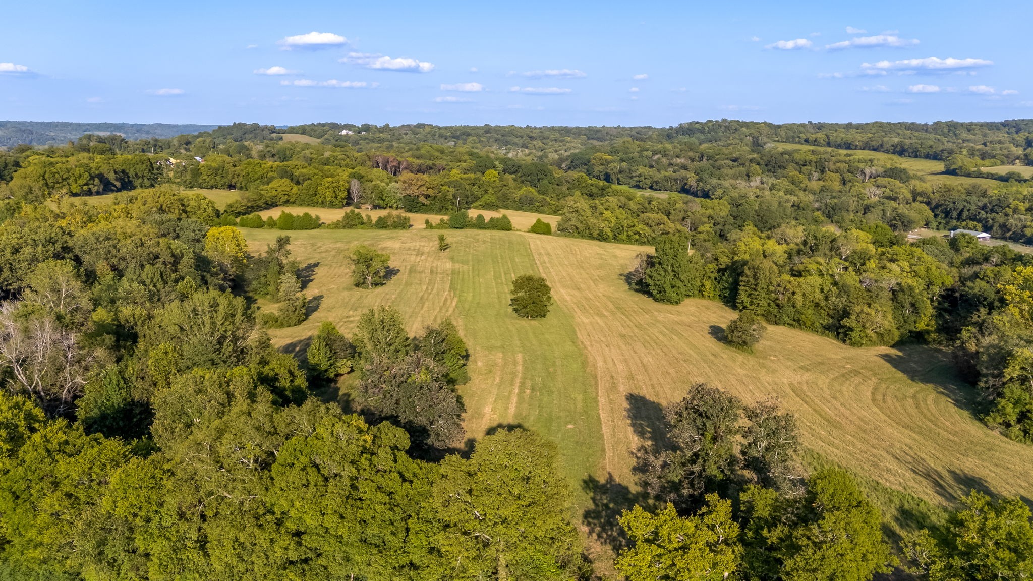3213 Craig Bridge Road Williamsport, TN 38487 - Photo 42 of 46 Gallery Image 42