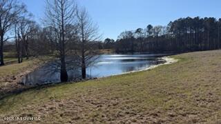 5192 Bean Road Liberty, MS 39645 - Photo 21 of 30 IMG_6550