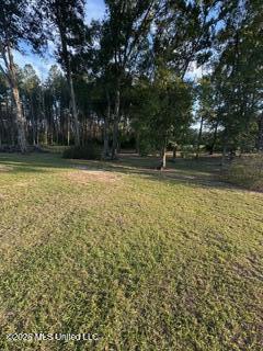 5192 Bean Road Liberty, MS 39645 - Photo 24 of 30 IMG_9268