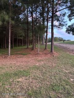 5192 Bean Road Liberty, MS 39645 - Photo 25 of 30 IMG_9287