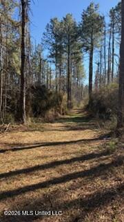 5192 Bean Road Liberty, MS 39645 - Photo 28 of 30 IMG_6543