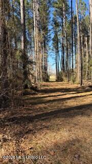 5192 Bean Road Liberty, MS 39645 - Photo 29 of 30 IMG_6545