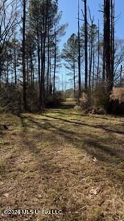 5192 Bean Road Liberty, MS 39645 - Photo 30 of 30 IMG_6546