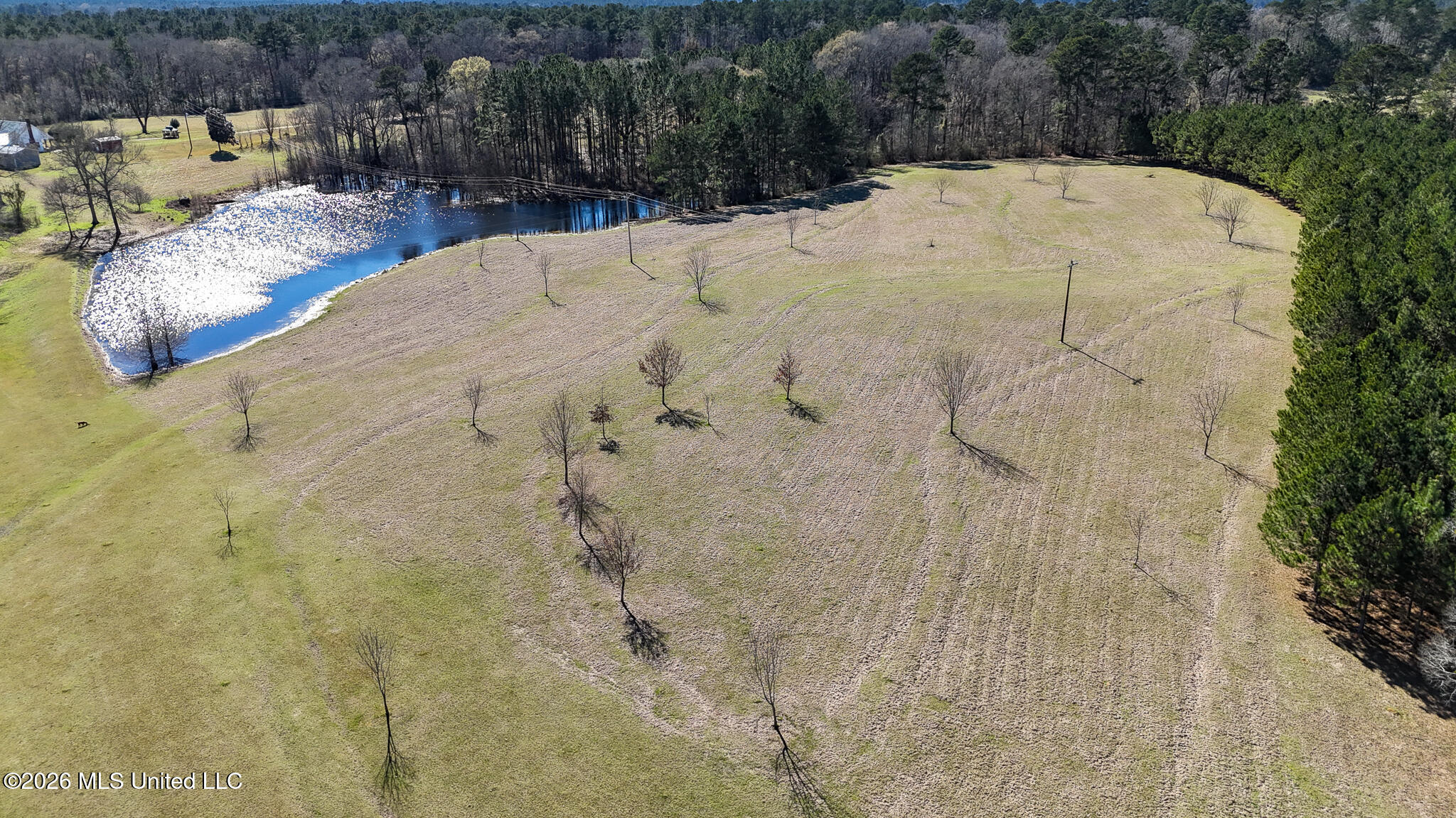5192 Bean Road Liberty, MS 39645 - Photo 3 of 30 DJI_20260223142629_0282_D