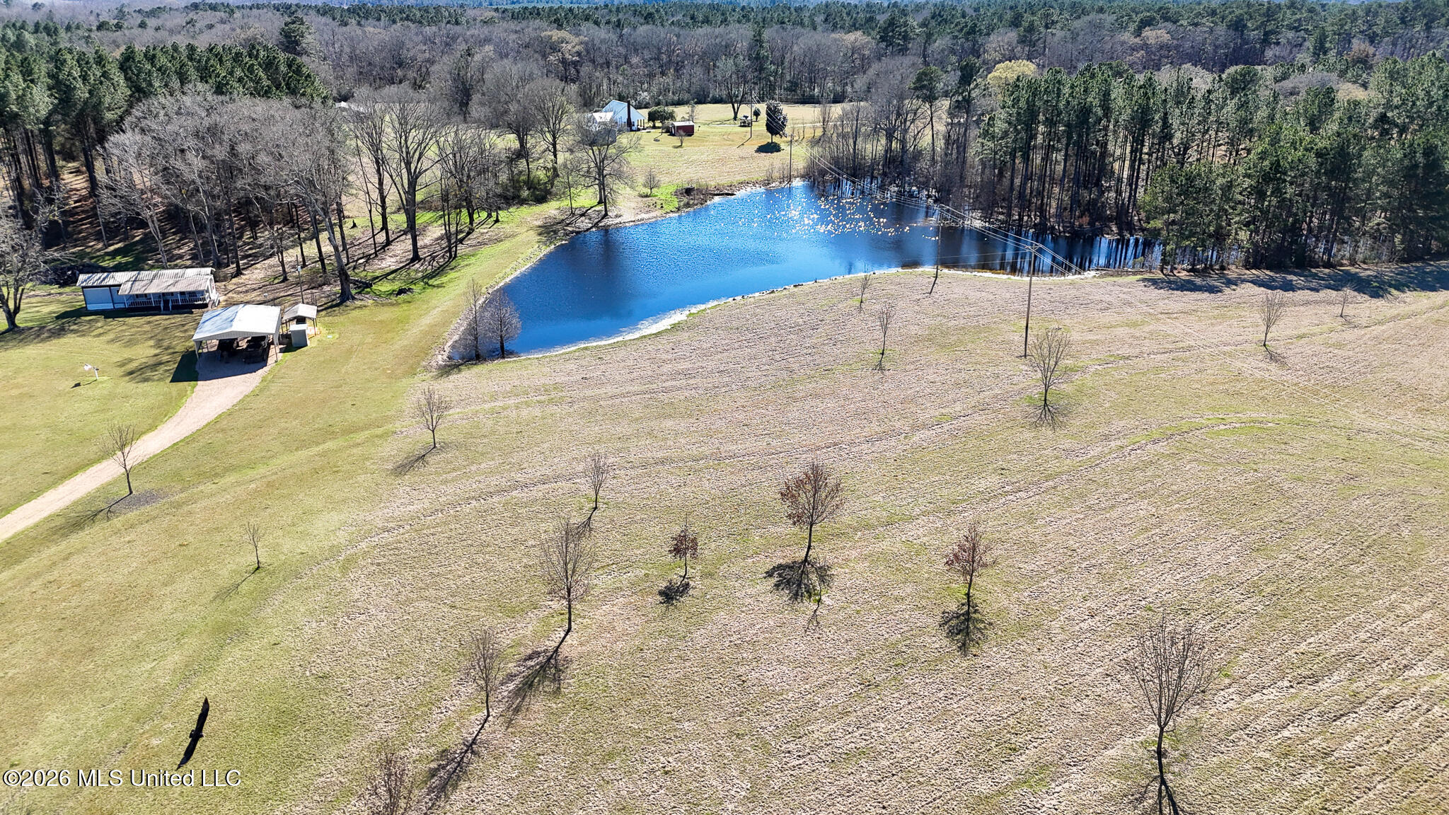 5192 Bean Road Liberty, MS 39645 - Photo 4 of 30 DJI_20260223142803_0288_D