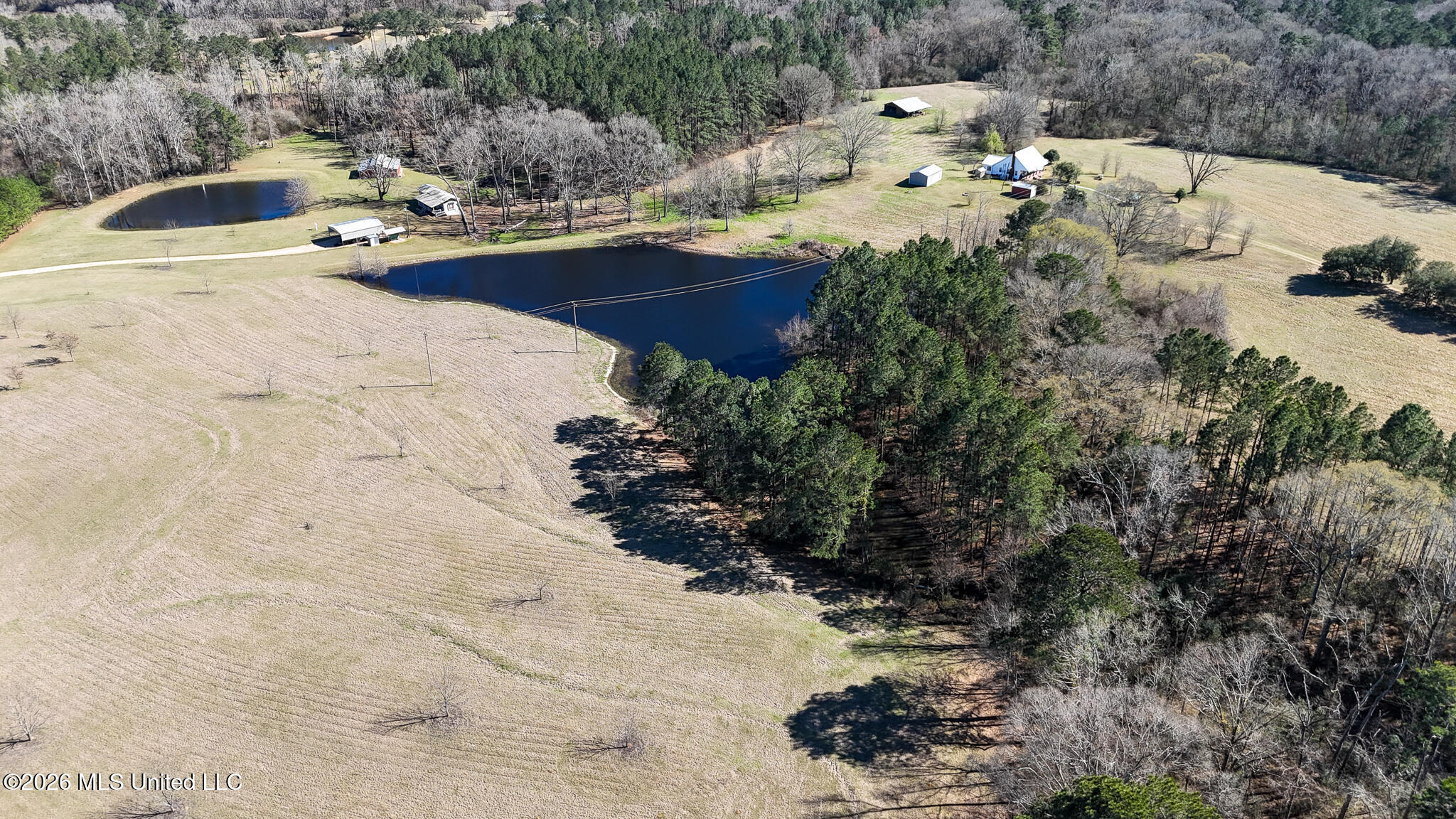5192 Bean Road Liberty, MS 39645 - Photo 6 of 30 DJI_20260223142926_0291_D