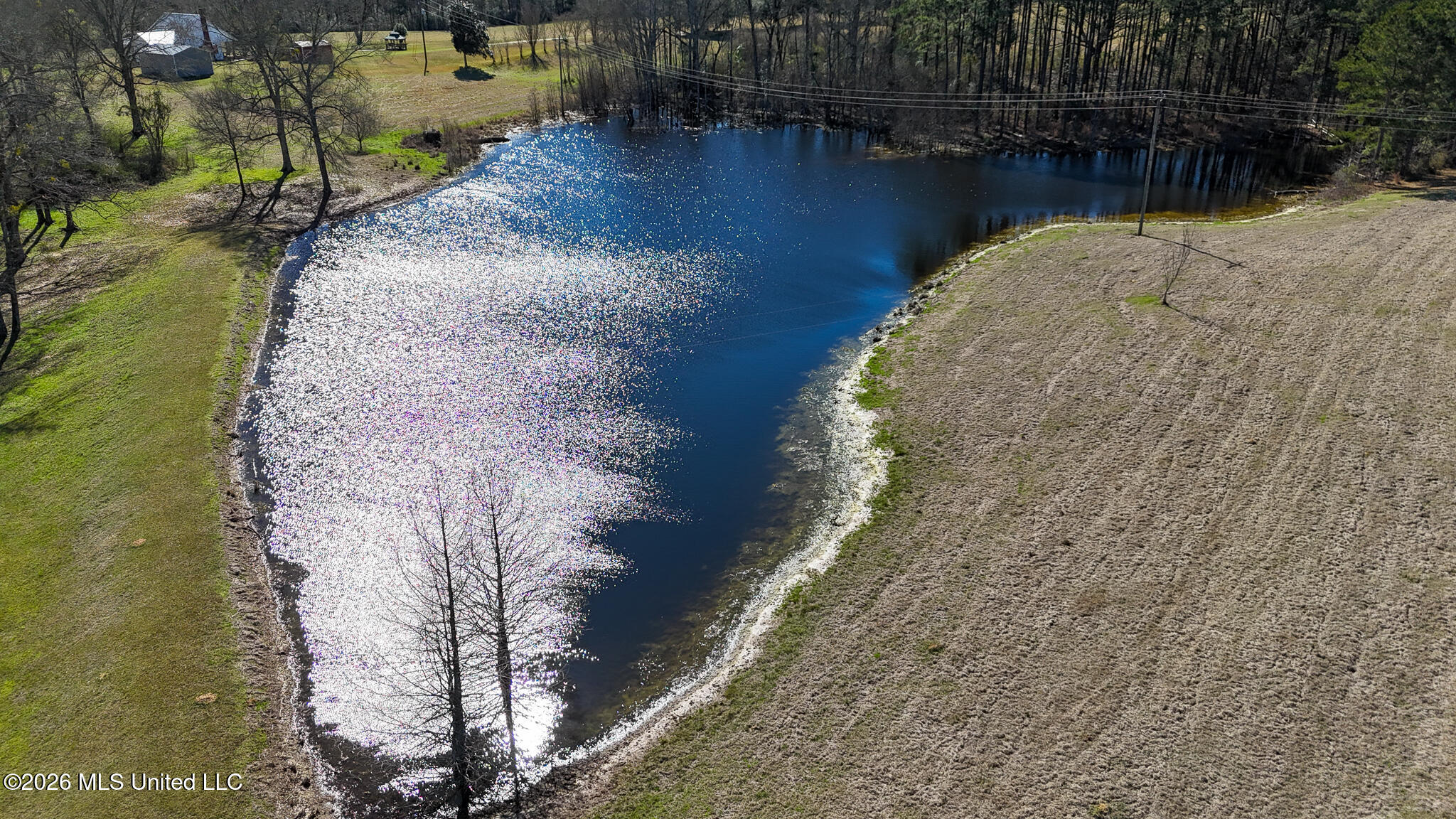 5192 Bean Road Liberty, MS 39645 - Photo 7 of 30 DJI_20260223142536_0281_D