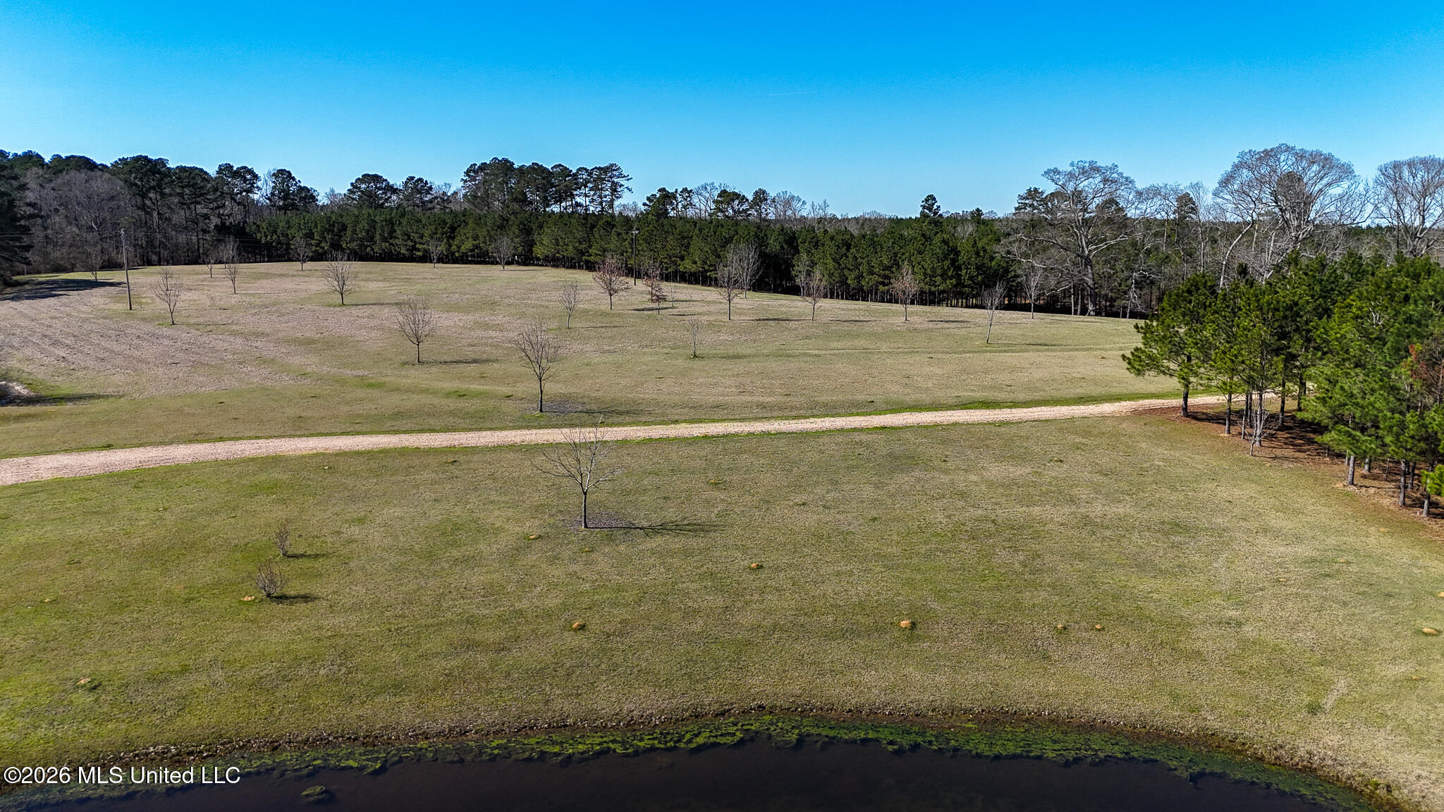 5192 Bean Road Liberty, MS 39645 - Photo 10 of 30 DJI_20260223143112_0296_D