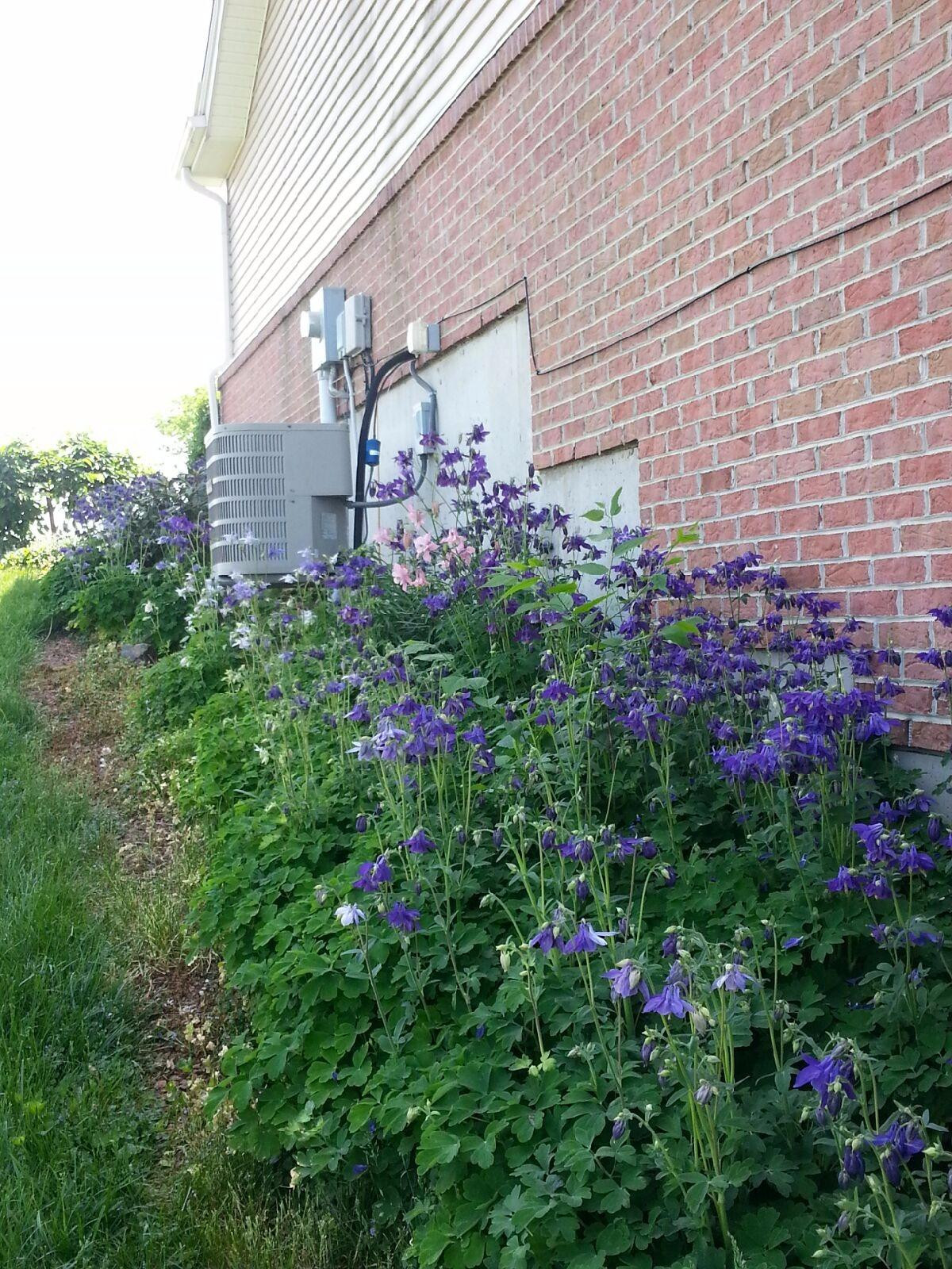 100 Saddlebrook Road Dry Ridge, KY 41035 - Photo 15 of 28