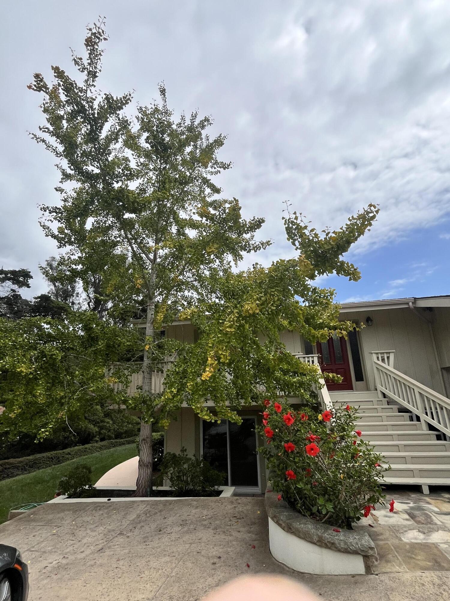 2240 Sycamore Canyon Road Montecito, CA 93108 - Photo 4 of 12 IMG_0632