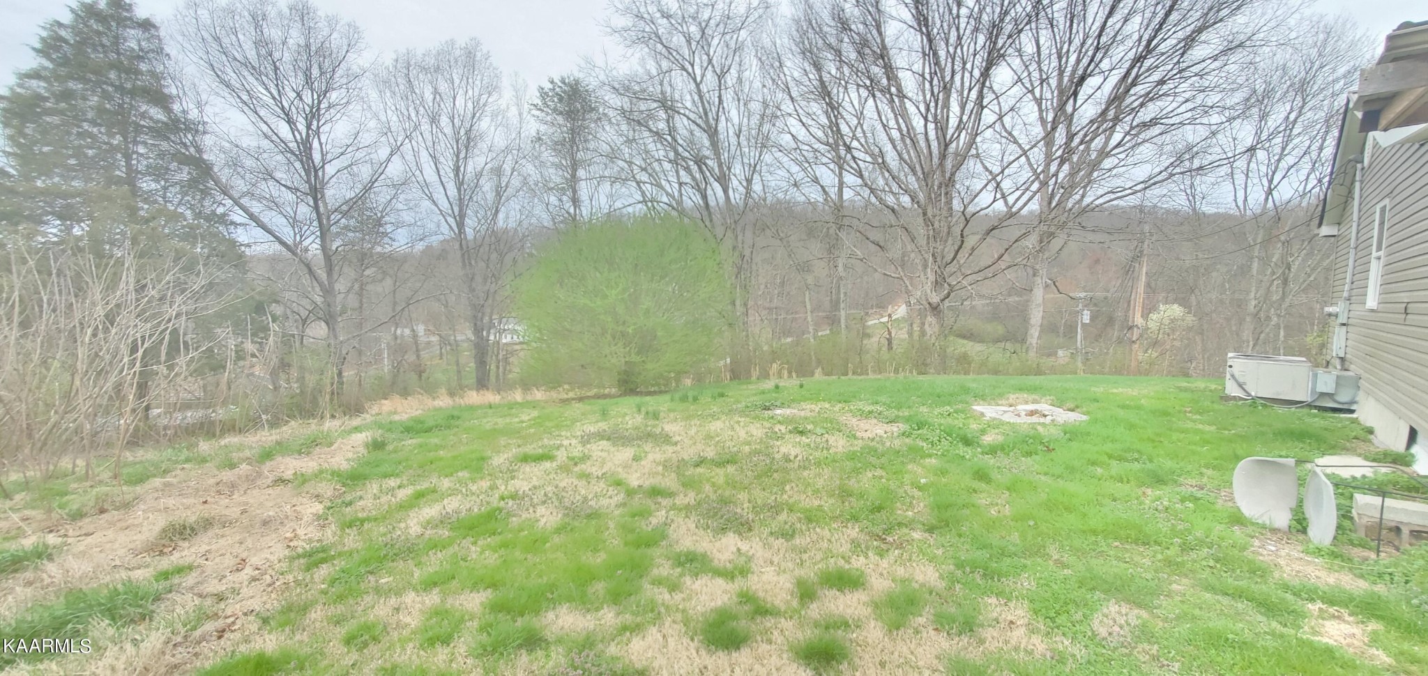 947 Hillvale Road Andersonville, TN 37705 - Photo 8 of 21 Gallery Image 8