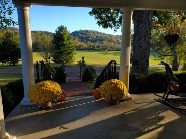 a living room with lots of furniture chandelier and a rug