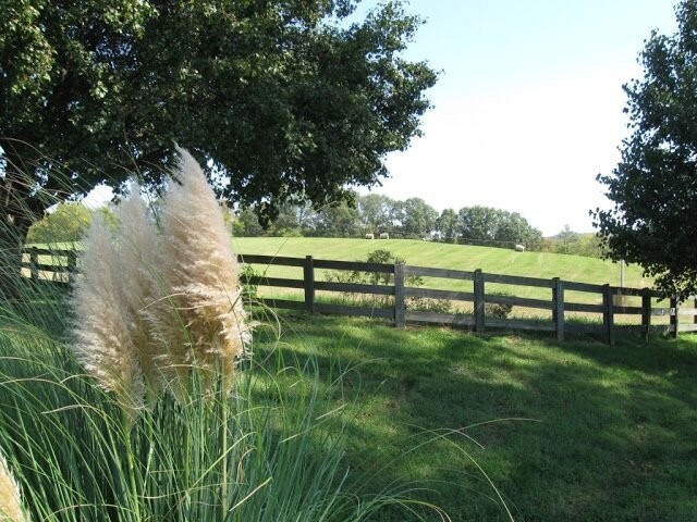 4929 Snow Creek Road Santa Fe, TN 38482 - Photo 57 of 59 a view of park with a bench