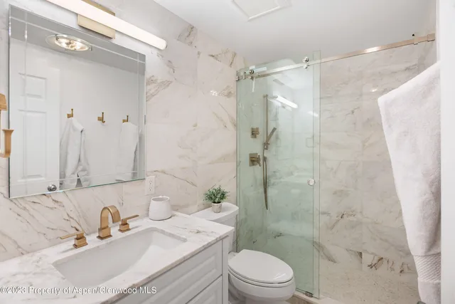 $30,000 | 825 East Hopkins Avenue, Unit 2N, Aspen, CO 81611