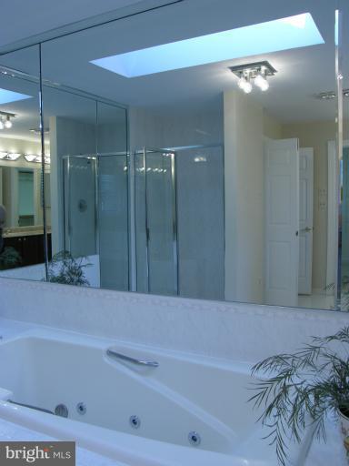 13922 Notley Road Silver Spring, MD 20904 - Photo 5 of 30 Bath (Master)