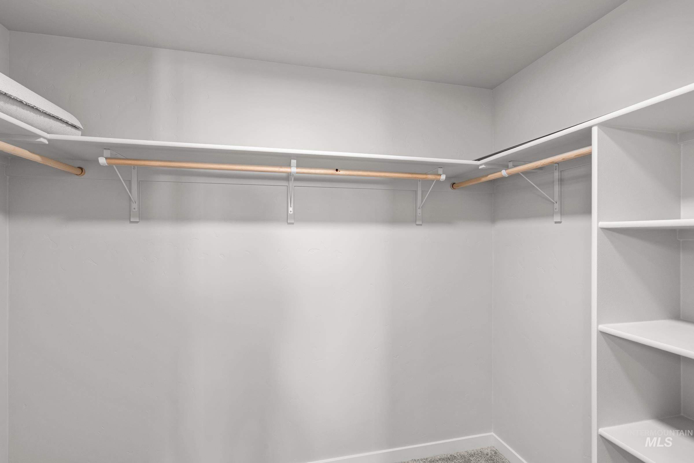 1687 Dyer Street Middleton, ID 83644 - Photo 25 of 28 Walk in closet featuring carpet floors