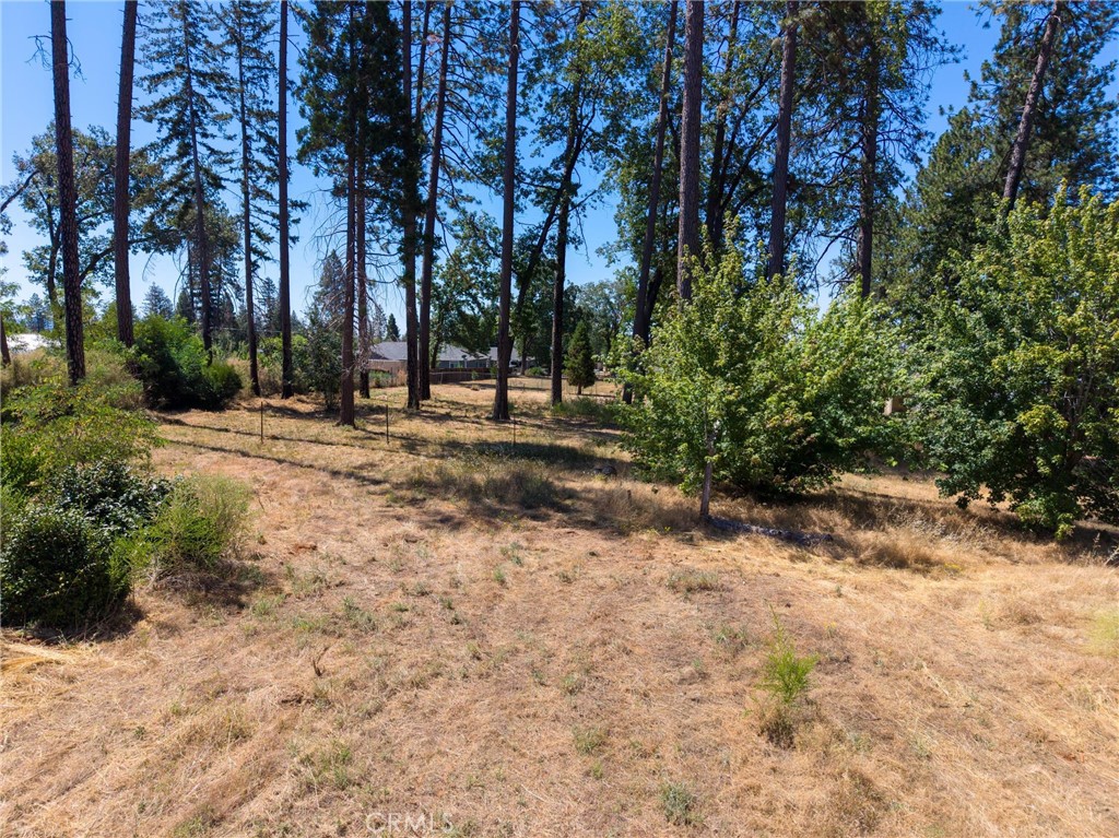 1368 Brill Road Paradise, CA 95969 - Photo 7 of 14