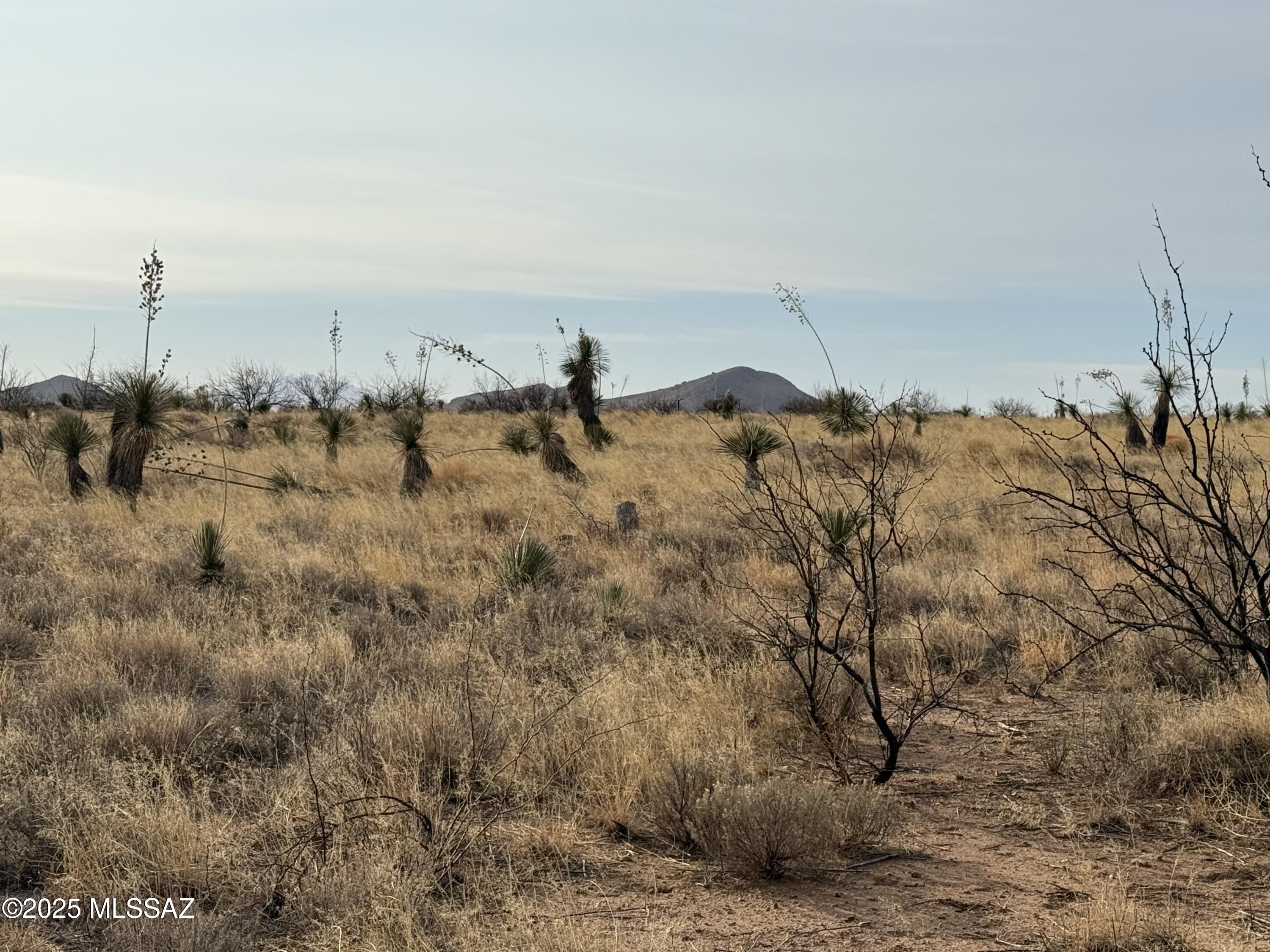 .85-ac Treasure Road, Unit 3 Pearce, AZ 85625 - Photo 1 of 21 Gallery Image 1