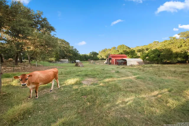 a view of a lake with huge green field and covered with green space