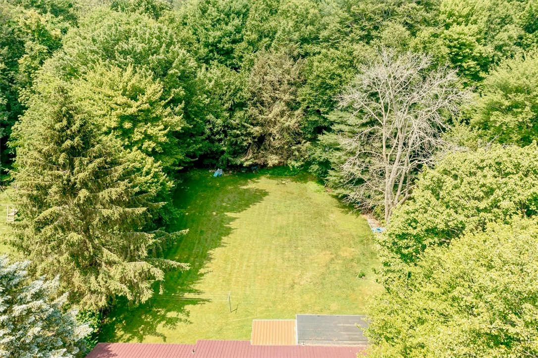 789 Gravel Road Webster, NY 14580 - Photo 5 of 39 Beautiful Backyard