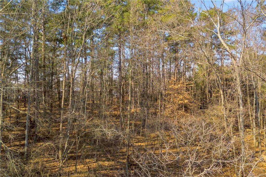 3430 Camp Branch Road Buford, GA 30519 - Photo 19 of 20