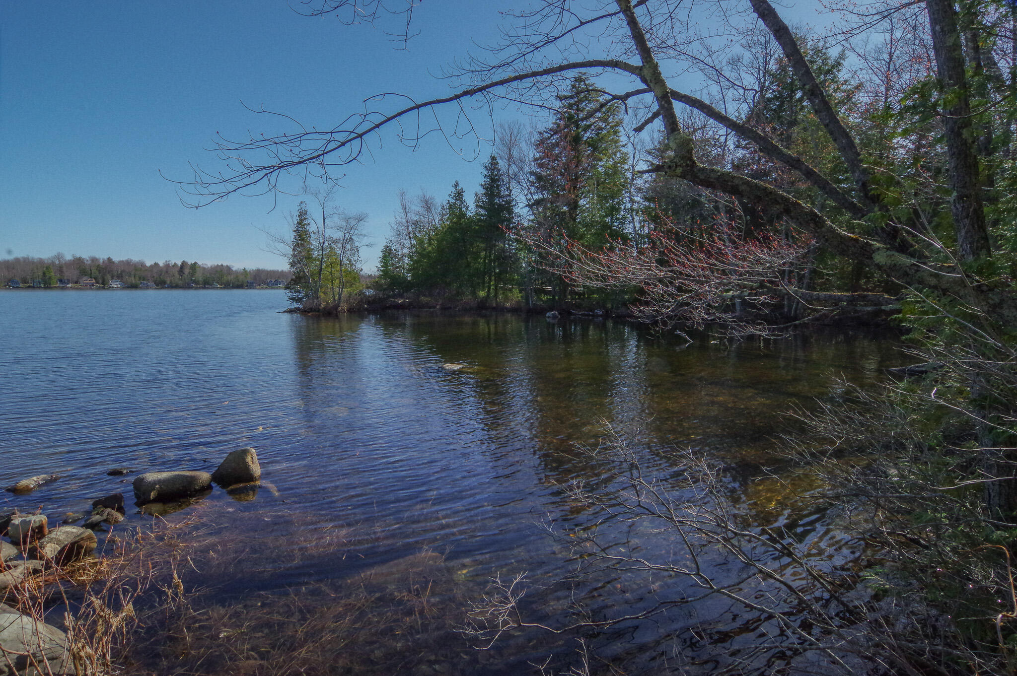 40 Birch Way Stetson, ME 04488 - Photo 31 of 46 IMGP9677