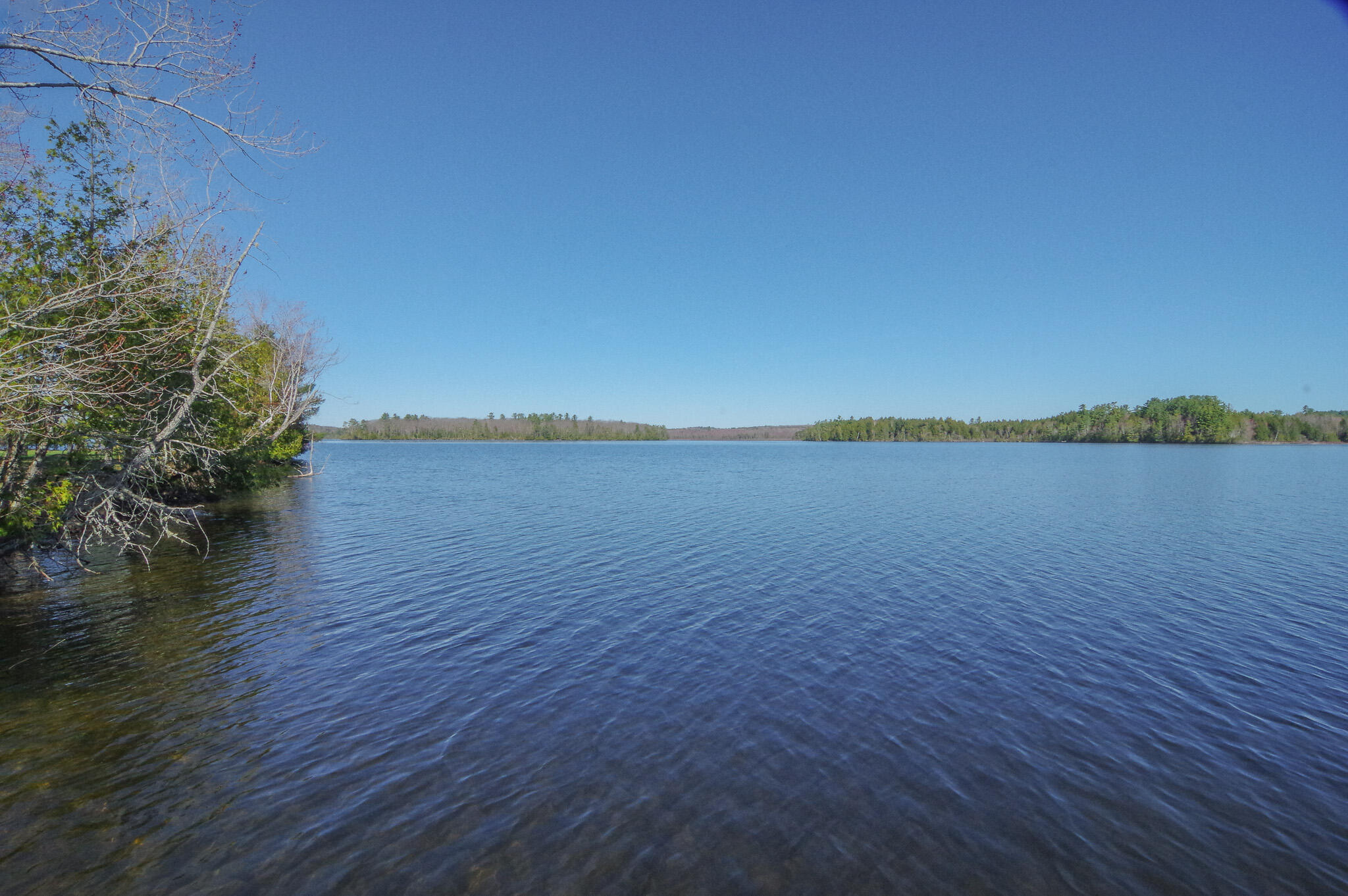 40 Birch Way Stetson, ME 04488 - Photo 5 of 46 IMGP9674