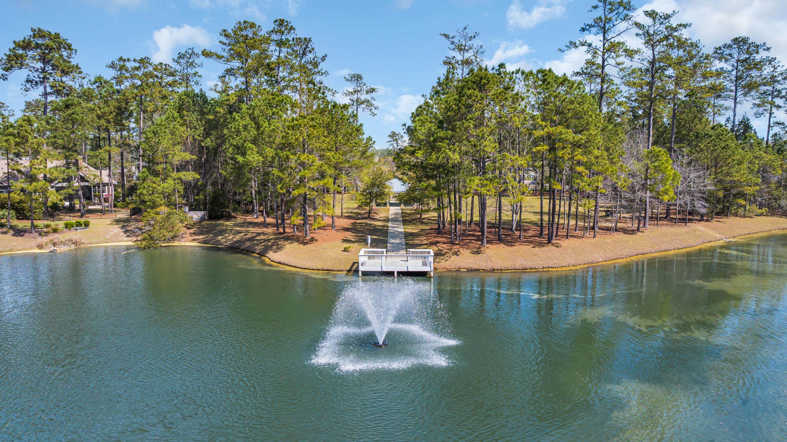 196 Low Country Loop Murrells Inlet, SC 29576 - Photo 68 of 72