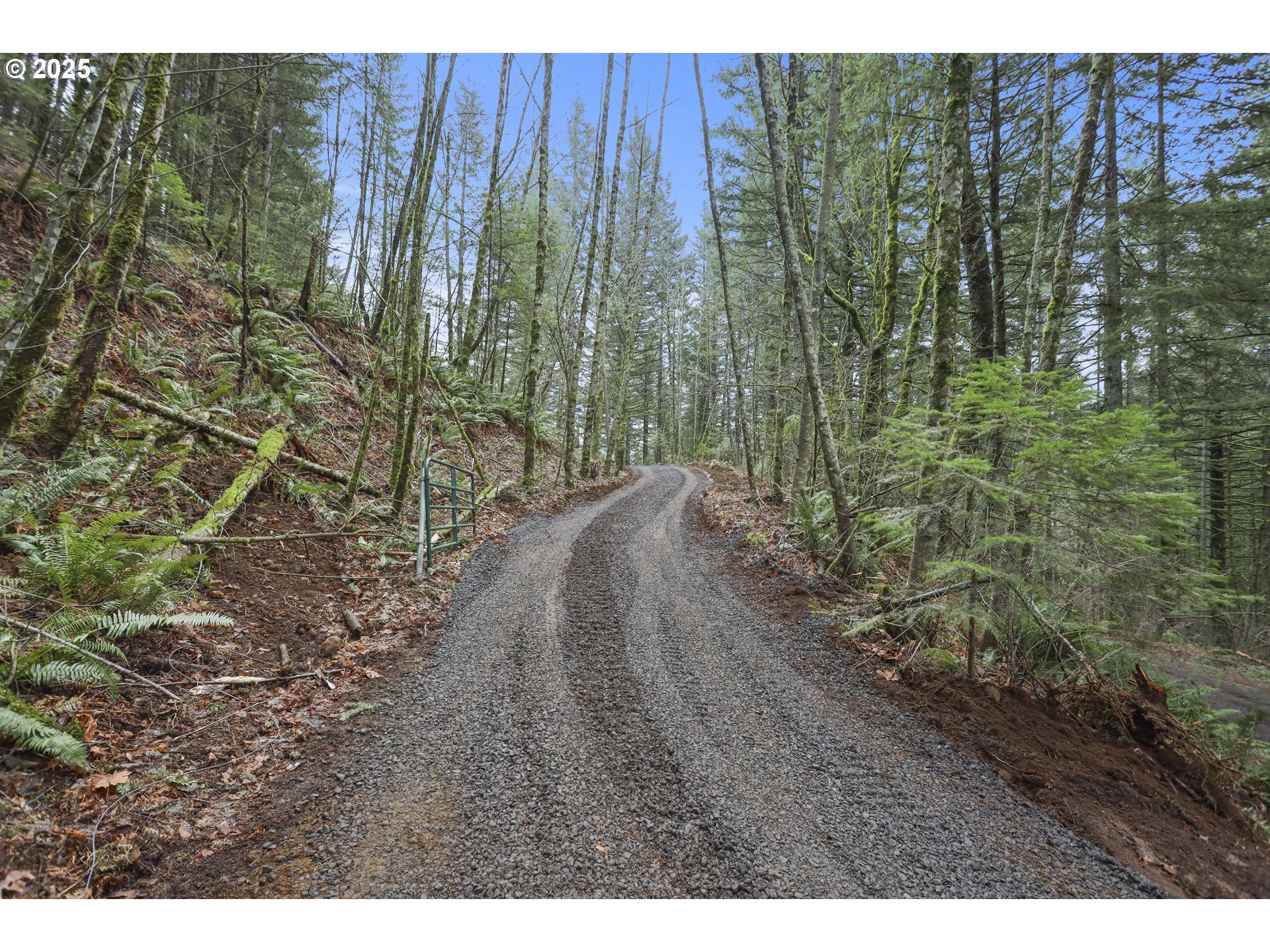 Kueffler Road Stevenson, WA 98648 - Photo 11 of 36 a view of a backyard
