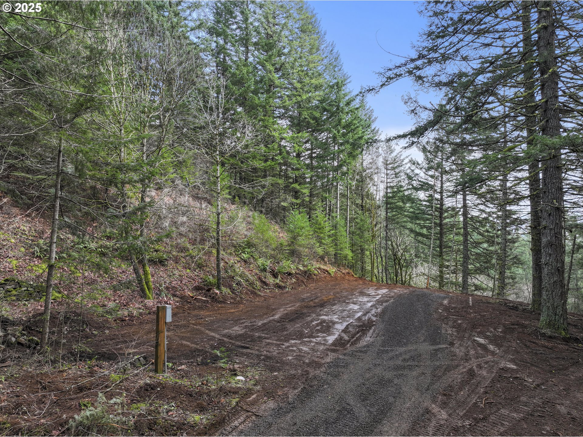 Kueffler Road Stevenson, WA 98648 - Photo 13 of 36 a view of a forest with trees