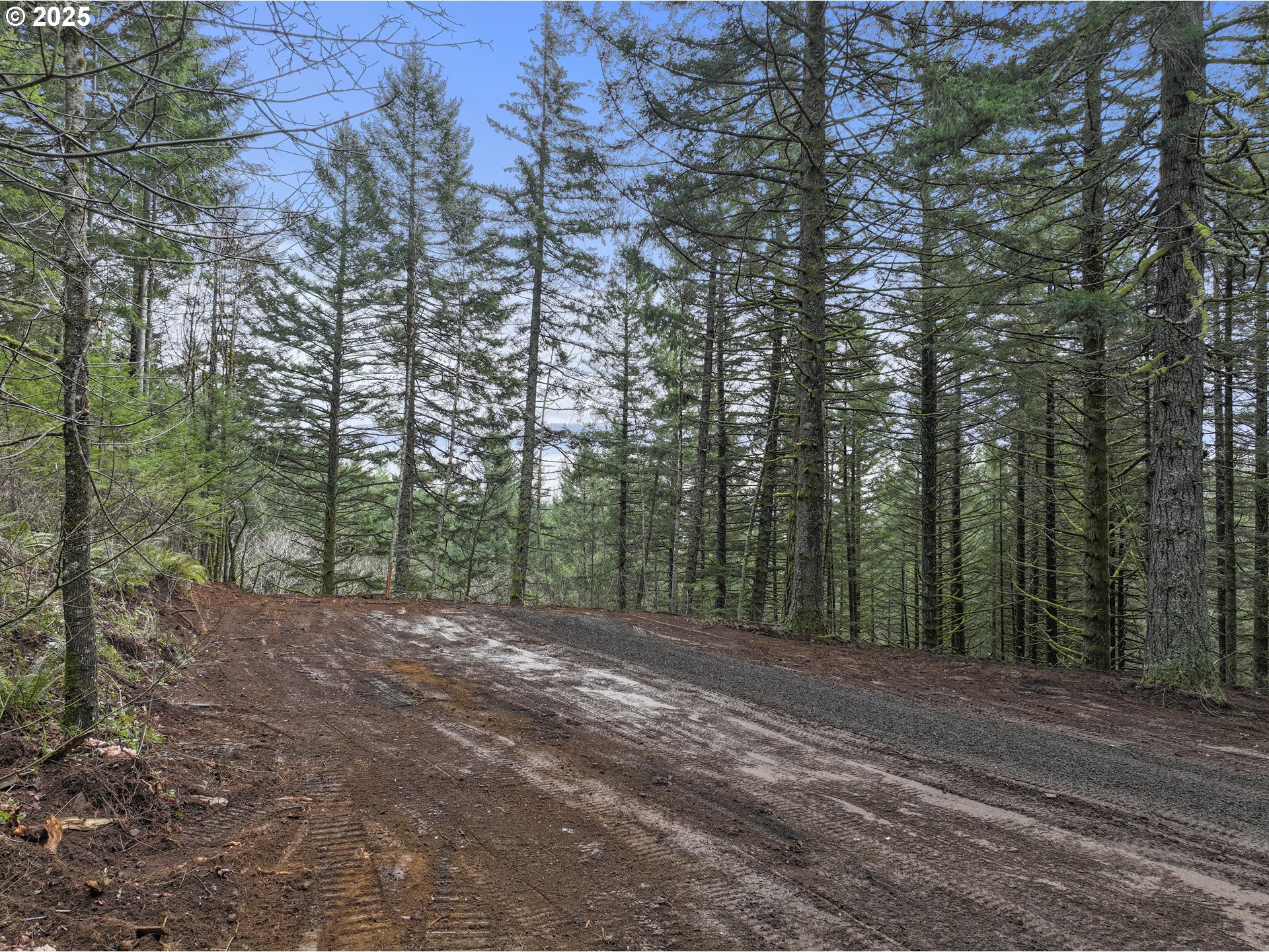 Kueffler Road Stevenson, WA 98648 - Photo 14 of 36 a view of outdoor space with trees
