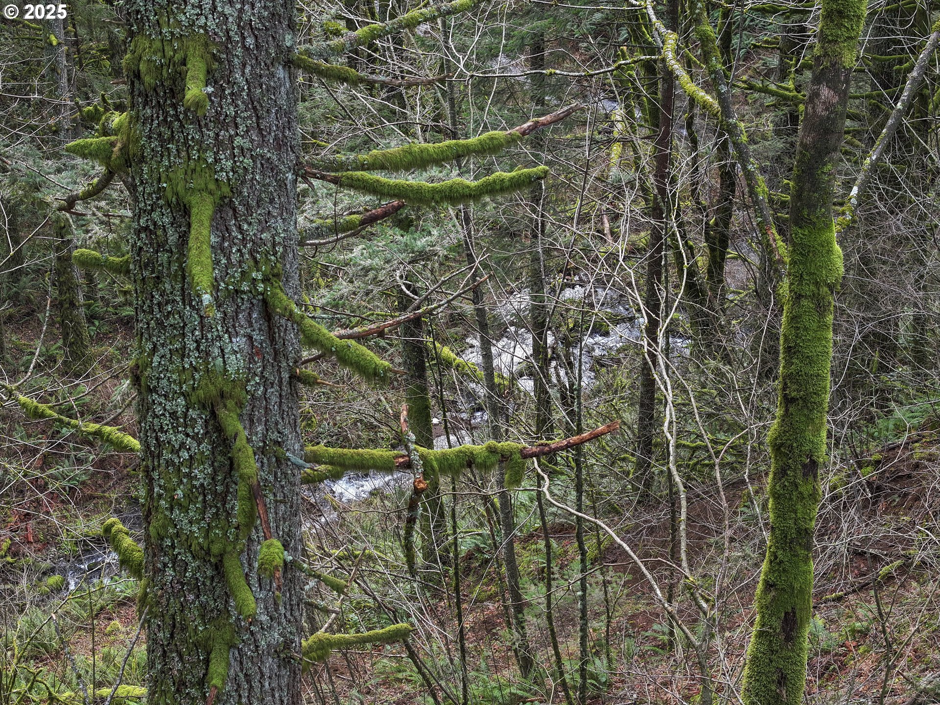 Kueffler Road Stevenson, WA 98648 - Photo 16 of 36 a view of fountain