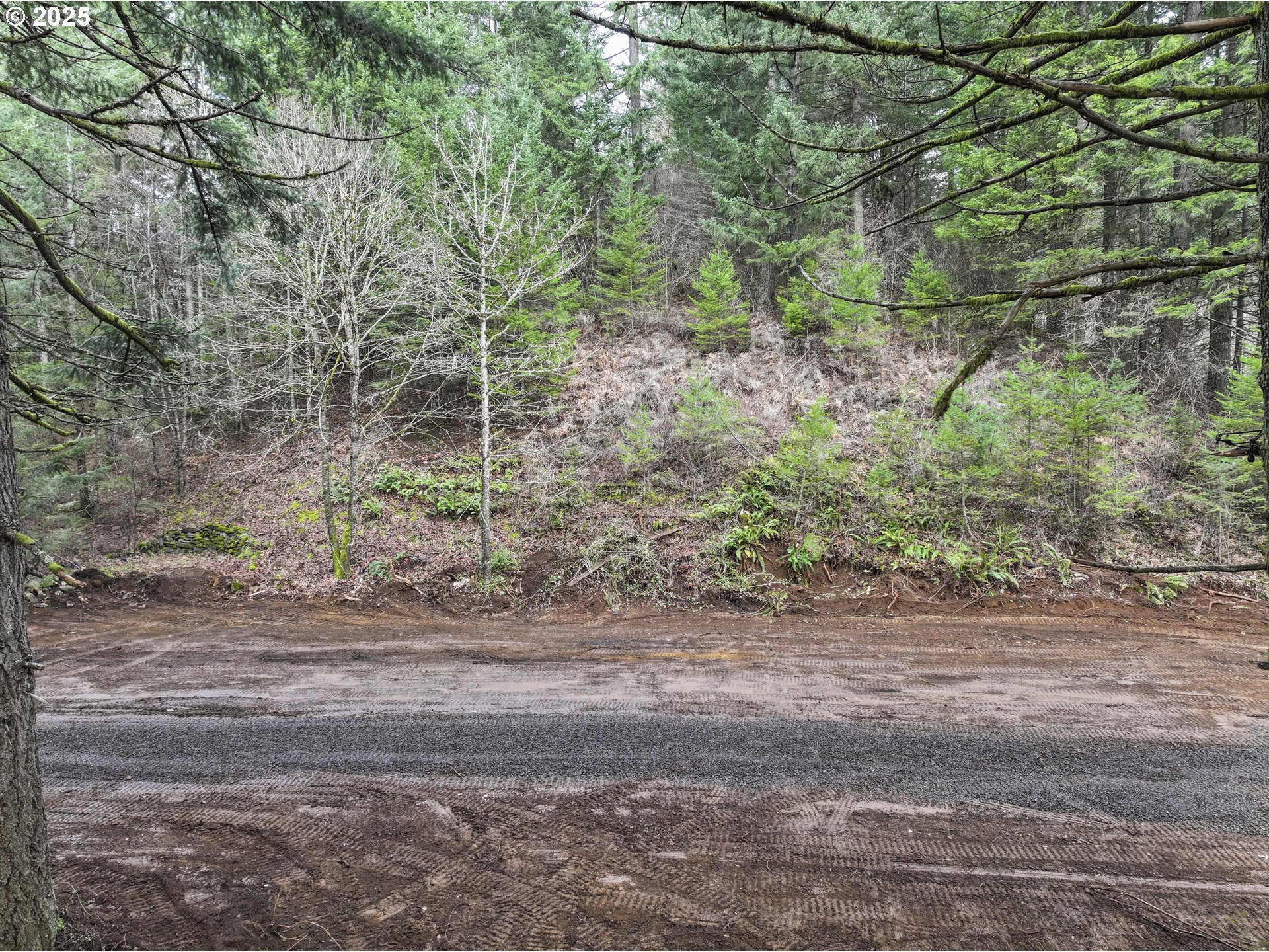 Kueffler Road Stevenson, WA 98648 - Photo 22 of 36 a backyard of a house with lots of green space