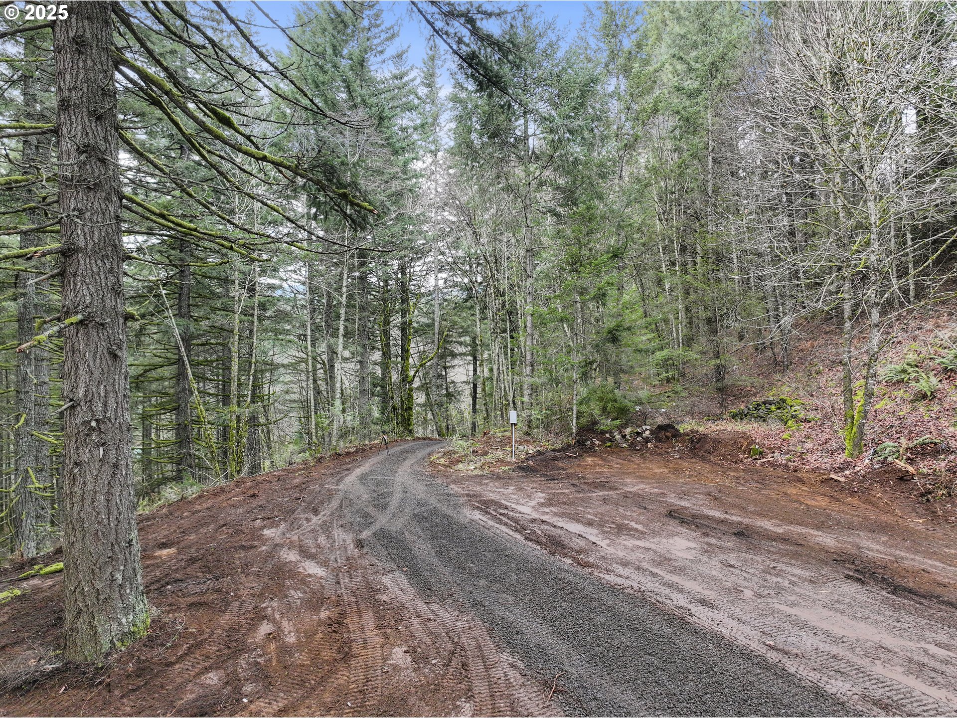 Kueffler Road Stevenson, WA 98648 - Photo 23 of 36 a view of a forest with trees
