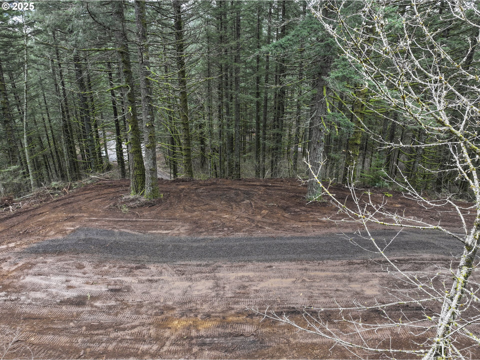 Kueffler Road Stevenson, WA 98648 - Photo 24 of 36 a view of a yard with trees