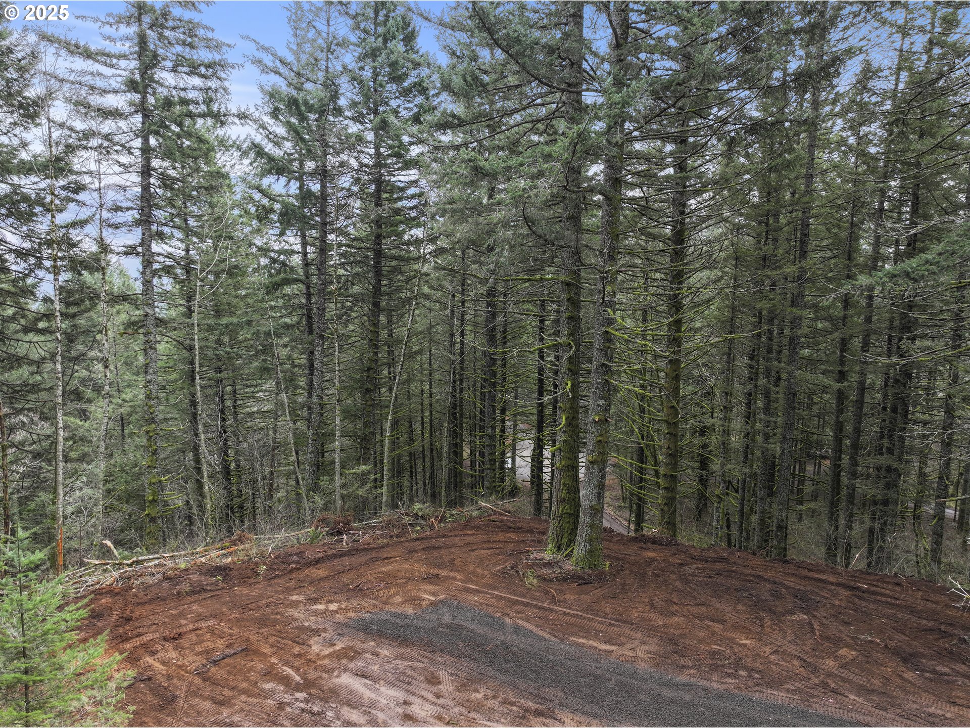 Kueffler Road Stevenson, WA 98648 - Photo 25 of 36 a view of a forest with trees
