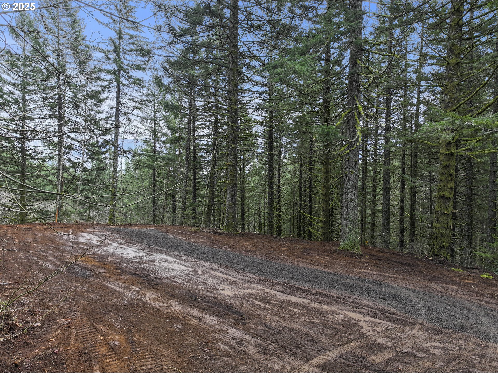 Kueffler Road Stevenson, WA 98648 - Photo 26 of 36 a view of a yard with trees